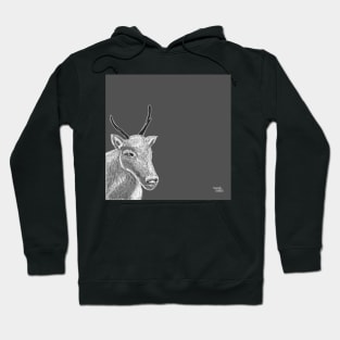 Reindeer - moose - elg - elk Hoodie